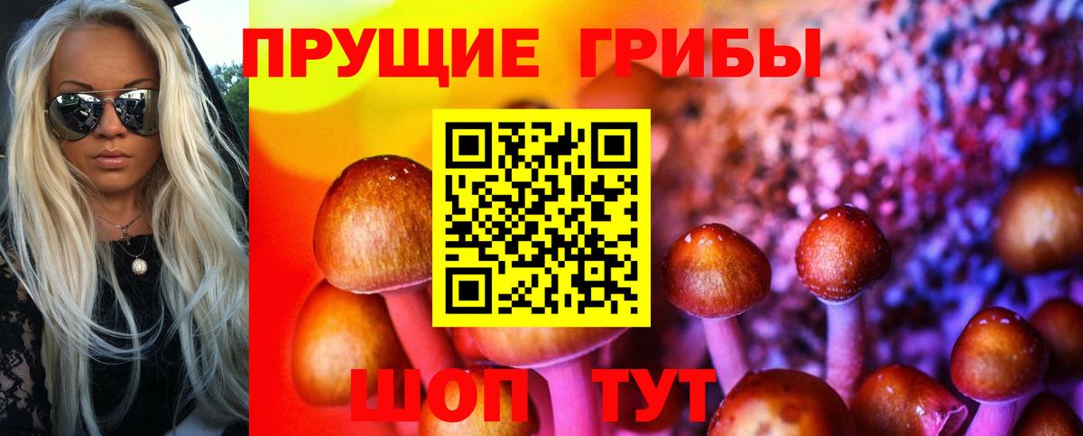 Псилоцибиновые грибы прущие грибы Орёл