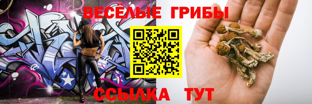Орёл  Псилоцибиновые грибы Magic Shrooms  Вход с VPN 